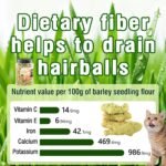 HavenJanny 380g Cat Grass Treats, Cat Dental Treats Hairball Control, Chicken Catnip Cats Grass Flavor, Cats Treat Snacks Biscuits for Teeth Cleaning Training - Image 8