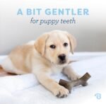 Benebone Puppy 2-Pack Maplestick/Zaggler Durable Dog Chew Toys for Gentle Chewers, Real Bacon, Real Maplewood, Made in USA, Tiny - Image 3