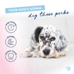 Benebone Puppy 2-Pack Maplestick/Zaggler Durable Dog Chew Toys for Gentle Chewers, Real Bacon, Real Maplewood, Made in USA, Tiny - Image 4