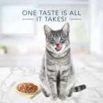 Blue Buffalo Tastefuls Natural Wet Cat Food, Tuna, Chicken and Fish/Shrimp in Gravy Flaked 5.5 oz Variety Pack 12 ct. - Image 4