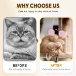 1PCS Hanging Cat Teaser Stick - Retractable Interactive Cat Toy with Spring for Self-Play, Upgrade Cat Wand Toy for Indoor Kittens (Pink) - Image 7