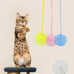 1PCS Hanging Cat Teaser Stick - Retractable Interactive Cat Toy with Spring for Self-Play, Upgrade Cat Wand Toy for Indoor Kittens (Pink) - Image 8