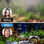 Aquarium Filter Fish Tank Filter with U-V Light, Submersible Aquarium Filter for 10 to 40 Gallon Fish Tank, U-V Filter for Aquarium - Image 6