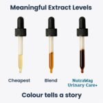 Urinary Care+ for Dogs | Human-Grade + Canadian Made - Urinary Tract Support Liquid with D-Mannose, Cranberry, Dandelion, Nettle, Cornsilk - VHP NN.RDG9 - Bacon Flavour (60mL) - Image 4