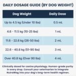 Urinary Care+ for Dogs | Human-Grade + Canadian Made - Urinary Tract Support Liquid with D-Mannose, Cranberry, Dandelion, Nettle, Cornsilk - VHP NN.RDG9 - Bacon Flavour (60mL) - Image 5