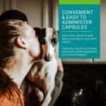 Vetoquinol Allerg-3 Capsules – Veterinary Health Product – Omega-3 Fatty Acid Nutritional Supplement for Pets - Large Breeds, 250 Capsules - Image 5