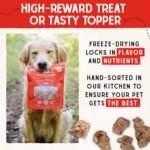 Stella & Chewy's Freeze-Dried Raw Single Ingredient Lamb Heart Treats, 85g Bag - Image 9