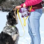 Rollover The Original Mini Bites for Dogs - 280g - Image 6