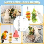 2Pcs Stainless Steel Rat Foraging Toys, Hanging Rodent Enrichment Puzzle Toy for Fancy Mice & Parakeets, Slow Feeder Fruit Vegetable Holder, Cage Accessories for Small Animals - Image 8