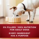 Purina ONE Tender Cuts True Instinct Wet Dog Food, in Gravy Turkey & Venison - 368 g Can (12 Pack) - Image 7