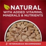 Purina ONE Tender Cuts True Instinct Wet Dog Food, in Gravy Turkey & Venison - 368 g Can (12 Pack) - Image 9