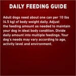 Purina ONE Tender Cuts True Instinct Wet Dog Food, in Gravy Turkey & Venison - 368 g Can (12 Pack) - Image 11