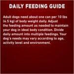 Purina ONE Tender Cuts True Instinct Wet Dog Food, in Gravy Turkey & Venison - 368 g Can (12 Pack) - Image 12