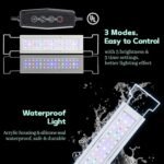 Ultra Clear Small Fish Tank with Filter & Light (3 Gal), Rimless Glass Low Iron Aquarium Starter Kit, Beta Fish Tank & Filter with Surface Skimmer & 3-Mode LED Light - Image 6