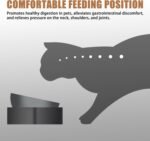 Orthopedic Anti-Vomiting Cat Bowl Set - 15° Tilted Raised Double Food & Water Feeder for Cats & Small Dogs, Shatterproof Food-Grade ABS Material Safe, Lightweight & Durable Clear Detachable Dishes - Image 7