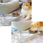 Orthopedic Anti-Vomiting Cat Bowl Set - 15° Tilted Raised Double Food & Water Feeder for Cats & Small Dogs, Shatterproof Food-Grade ABS Material Safe, Lightweight & Durable Clear Detachable Dishes - Image 9