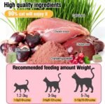 HavenJanny Freezed-Dried Cat Grass Treats, Catgrass Cranberry Duo Bites, Cat Dental Treats for Hairball Control and Urinary Tract Support, Cats Teething Stick - Image 3