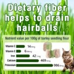 HavenJanny Freezed-Dried Cat Grass Treats, Catgrass Cranberry Duo Bites, Cat Dental Treats for Hairball Control and Urinary Tract Support, Cats Teething Stick - Image 7