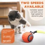 Interactive Cat Toy Ball - Automatic Interactive Cat Toys for Indoor Cats with 2 Tails, 2 Speeds Rechargeable Enrichment Toys for Small/Medium/Large to Keep Them Busy (Orange) - Image 4