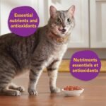 Meow Mix Dry Cat Food, Original Choice with Flavours of Chicken Salmon Turkey and Ocean Fish, 1.42 kg (Pack of 4) - Image 6