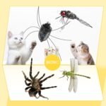 Andiker Cat Wand Toy, Flexible Long Cat Stick & 2 Pack Realistic Animal Shapes Cat Wand Replacement with Bells Interactive Cat Toys for Indoor Cats Chasing Scratching Chewing (Spider+Dragonfly) - Image 4