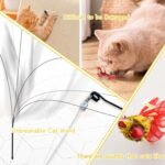 Andiker Cat Wand Toy, Flexible Long Cat Stick & 2 Pack Realistic Animal Shapes Cat Wand Replacement with Bells Interactive Cat Toys for Indoor Cats Chasing Scratching Chewing (Spider+Dragonfly) - Image 5