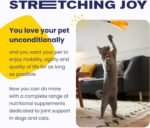 Vetoquinol Flexadin Advanced – Cat Joint Supplement – One Unit a Day for Cats - Image 7