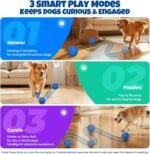 Interactive Dog Ball: Moving Dog Ball Auto Rolling - Interactive Dog Toys for Boredom - Bouncy & Throwable, Type-C Rechargeable, Washable, for Small & Medium & Large Dogs - Image 4