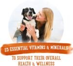 Beneful Prepared Meals Wet Dog Food, Chicken Medley - 283 g Tub (8 Pack) - Image 7