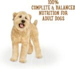 Beneful Prepared Meals Wet Dog Food, Chicken Medley - 283 g Tub (8 Pack) - Image 8