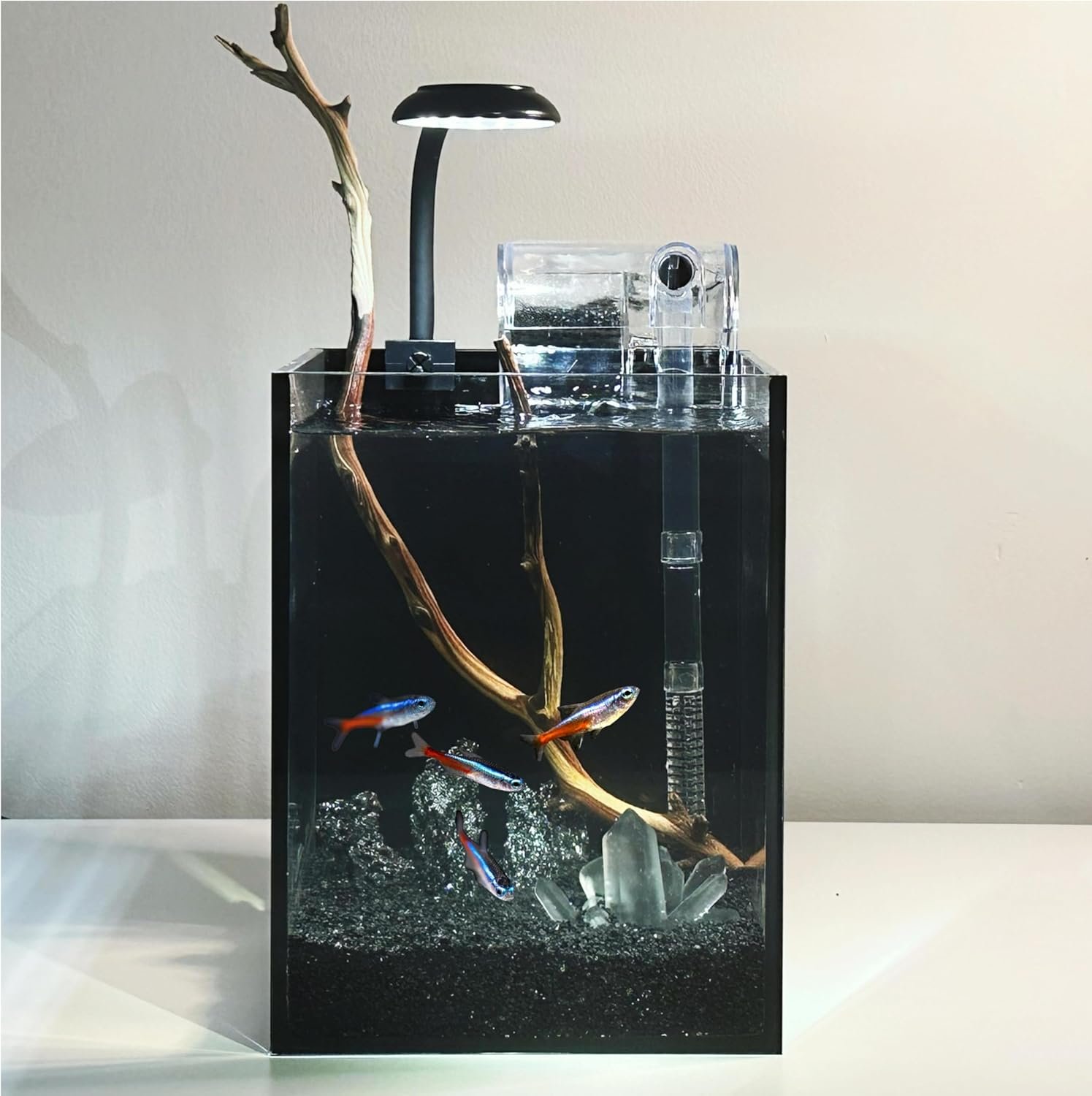 Nano Aquarium Kit,1.5 Gallon Rimless Small Fish Tank with Filter, Fish Light, and Landscape Decorations, for Home and Office (Black-Crystal, Small) - Image 8
