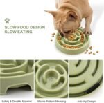 Coolplay Dog Bowl Slow Eating Dog Food Bowl Slow Feeder Dog Bowls Dog Puzzle Light Green - Image 4