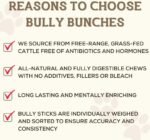 Bully Bunches All Natural 6 Inch Beef Jerky Sticks – Soft and Crunchy Gullet Chews - Odour Free, Rawhide Free, Chemical Free – Safe, Healthy and Nutritious Dog Treats for Light Chewers, 40 Pk - Image 9