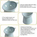 3 Pcs Elevated Cat Food Bowl with Tilted Design, Raised Cat Food Bowls, Cute Ear Shape, Small Cat Bowl for Dry Wet Food, Anti Vomiting and Reduces Neck Strain, Perfect for Cats & Small Pets - Image 5
