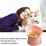 3 Pcs Elevated Cat Food Bowl with Tilted Design, Raised Cat Food Bowls, Cute Ear Shape, Small Cat Bowl for Dry Wet Food, Anti Vomiting and Reduces Neck Strain, Perfect for Cats & Small Pets - Image 6