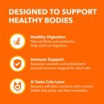 IAMS Proactive Health Healthy Enjoyment Adult Dry Cat Food – Chicken & Salmon – 2.72KG (5.9LB) Bag - Image 8