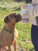 TIKIBOO 100% Single Ingredient Freeze Dried Chicken Dog & Cat Treats - All Natural Healthy Training Treats & High Protein Food Topper for Pets, 50g - Image 5