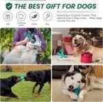 Dog Chew Toys for Aggressive Chewers Large Breed,Indestructible Bones Toy，Durable Cleaning Toothbrush Natural Rubber Dog Toys - Image 7