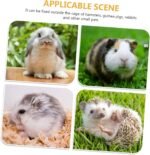 Hemobllo Hamster Tunnel Maze Toy Wooden Small Pet Toy for Pet Lab and Hamster House - Image 7