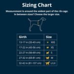 Ruffwear, Front Range Dog Harness, Reflective Soft Padded Everyday Harness with Dual Leash Clips, Adjustable and Lightweight Fit for Training or Walking for All Dogs, Spring Mountains, Medium - Image 3