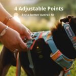 Ruffwear, Front Range Dog Harness, Reflective Soft Padded Everyday Harness with Dual Leash Clips, Adjustable and Lightweight Fit for Training or Walking for All Dogs, Spring Mountains, Medium - Image 8