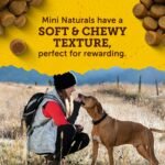 Zuke's Dog Treats, Mini Naturals Tender Bites Duck Recipe - 454 g Pouch (1 Pack) - Image 7