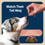 Blue Buffalo Bits Natural Dog Treats, Salmon, 4oz (Pack of 1) - Image 10