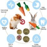 23 Pcs Bunny Guinea Pig Hamster Toys Hamster Rabbit Chew Toys Cage Accessories for Rabbit Guinea Pig Chinchilla Apple Wood Sticks for Small Animal Chew (Polychrome) - Image 4