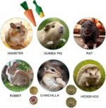 23 Pcs Bunny Guinea Pig Hamster Toys Hamster Rabbit Chew Toys Cage Accessories for Rabbit Guinea Pig Chinchilla Apple Wood Sticks for Small Animal Chew (Polychrome) - Image 5