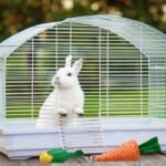 23 Pcs Bunny Guinea Pig Hamster Toys Hamster Rabbit Chew Toys Cage Accessories for Rabbit Guinea Pig Chinchilla Apple Wood Sticks for Small Animal Chew (Polychrome) - Image 7