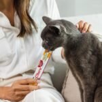 INABA Churu for Senior 10+, Creamy Lickable Cat Treats with Taurine, Vitamin E & C, 14 Grams Each, 20 Tubes, Tuna Variety - Image 5