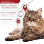 INABA Churu for Senior 10+, Creamy Lickable Cat Treats with Taurine, Vitamin E & C, 14 Grams Each, 20 Tubes, Tuna Variety - Image 8