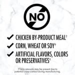 NUTRO Natural Choice Premium Loaf Adult Wet Dog Food Grain Free Beef, Sweet Potato & Carrot Recipe, 355g Can (Pack of 12) - Image 4