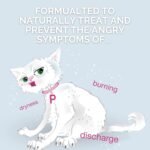 Probiotic Vaginal Care, Naturally Treats and Prevents Vaginal Yeast and Bacterial Infection for Women, 7-Day Treatment, 14-Count - Image 6